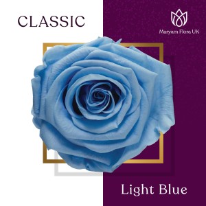 CLASSIC LIGHT BLUE