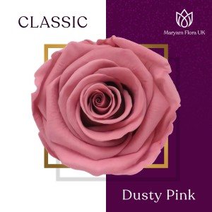 CLASSIC DUSTY PINK