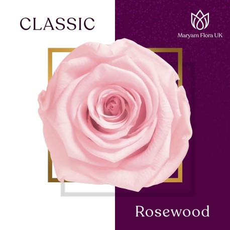 CLASSIC ROSEWOOD