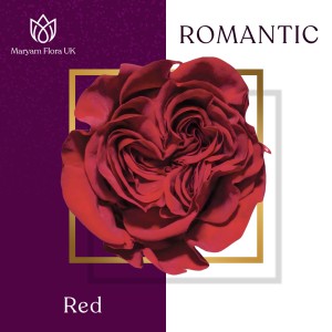 ROMANTIC RED