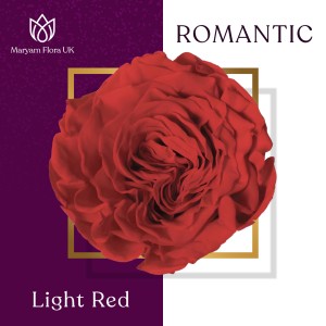ROMANTIC LIGHT RED