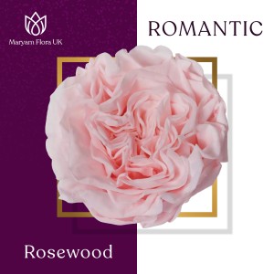 ROMANTIC ROSEWOOD