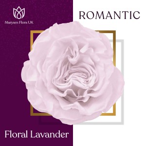 ROMANTIC FLORAL LAVENDER