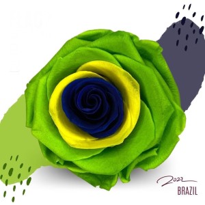 Brazil'S FLAG